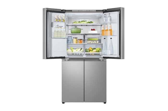 LG 20.8 cu. ft. French Door Refrigerator with Smart Inverter Compressor in Prime Silver, RVF-L208PS