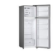 LG 10.1 Cu. Ft. Top Freezer Refrigerator in Platinum Silver, RVT-B101PZ