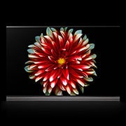 Front view of LG 77” Signature OLED TV OLED77G7T