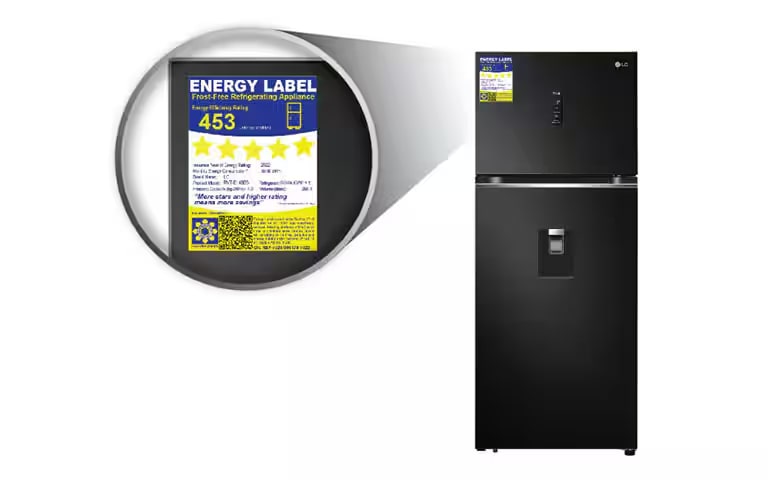 How to Choose an Energy Efficient Fridge LG PH