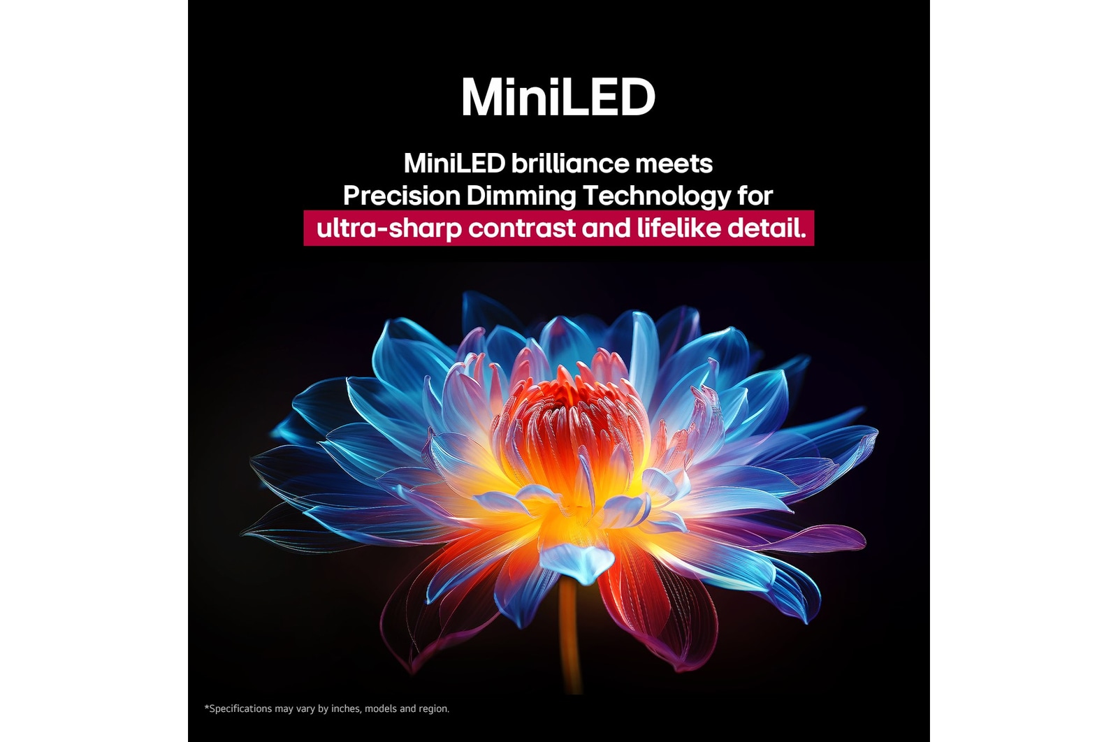 3D holographic flower in many different shades and hues against a black background. The definition and detail of the flower shows off QNED MiniLED's capability to produce visuals with exceptional color, brightness, and contrast. The title talks about how MiniLED and enhances clarity and provides exceptional contrast.
