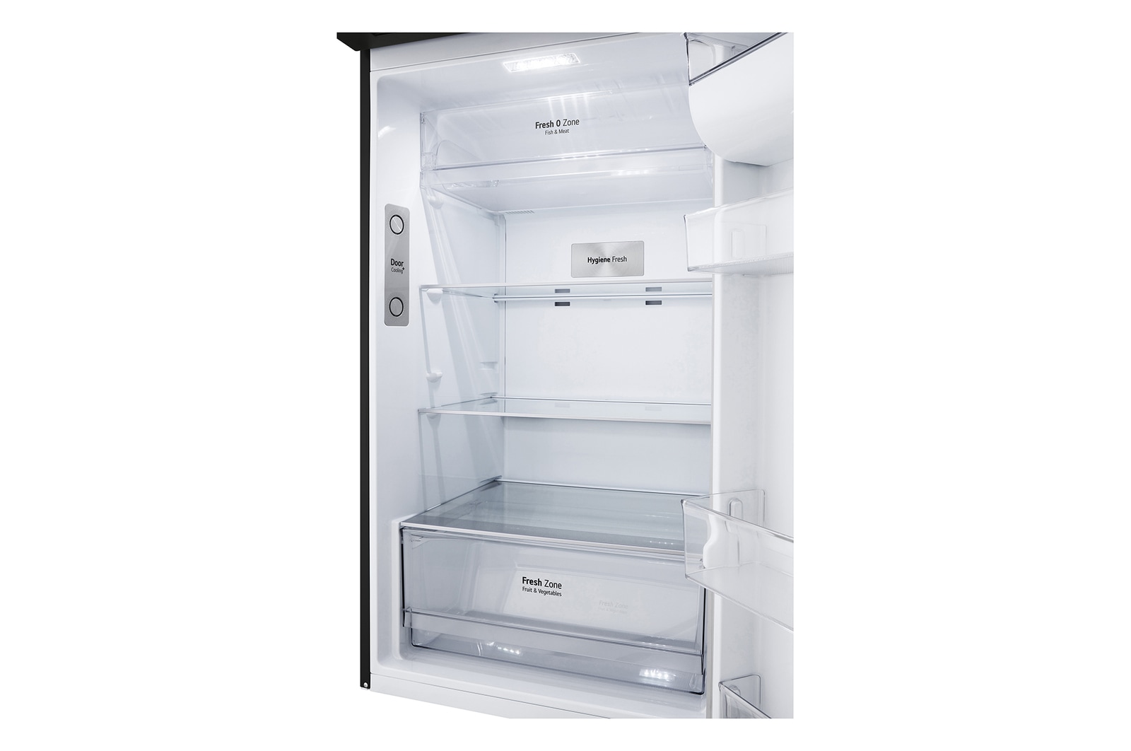 Bottom view without  food
