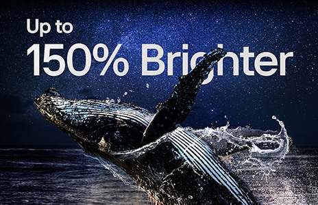 An image of a dolphin jumping out of the water before a starry night sky. Above the whale is the phrase "up to 150% brighter".