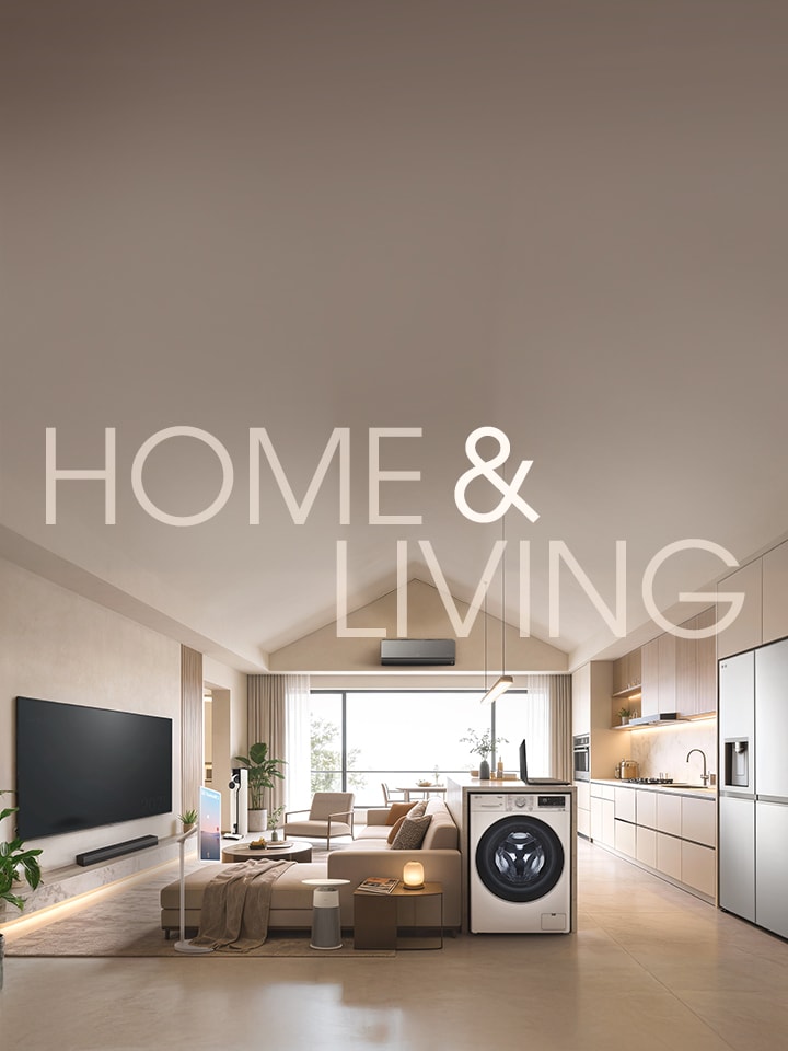 3.3 Online Brand Shop Sale