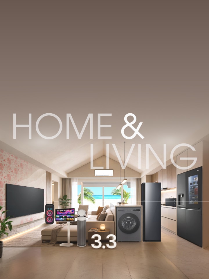 3.3 Online Brand Shop Sale