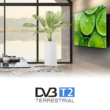 Dowiedz się więcej o DVB-T2 / HEVC:3