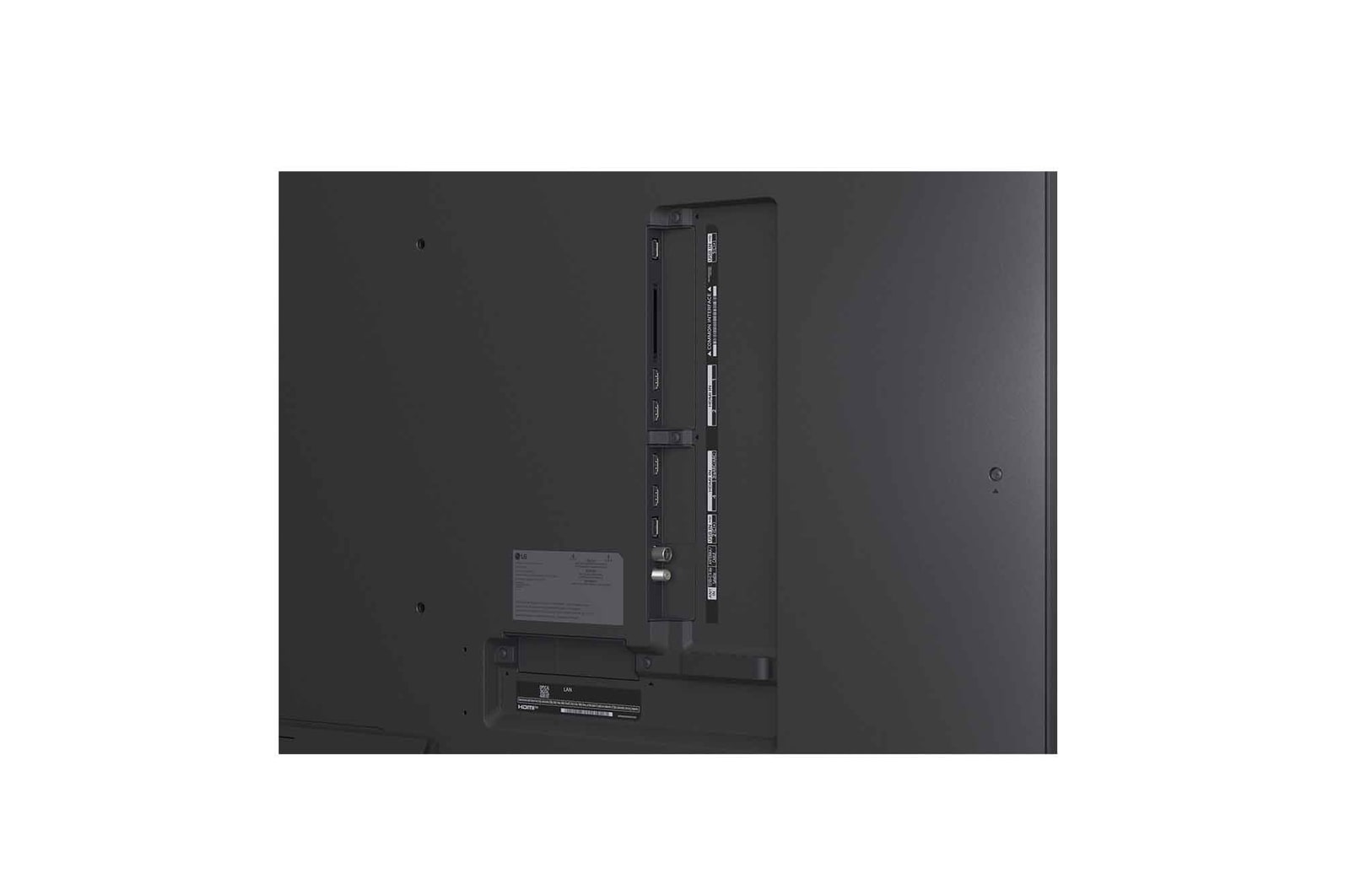 Przed telewizorem LG QNED TV zamontowanym na ścianie, przedstawiającym trzy słonie idące na zewnątrz nad LG Soundbar, siedzą dziewczynka i pies. Napis informuje o tym, że na wielkim ekranie każda akcja jest bardziej ekscytująca.
