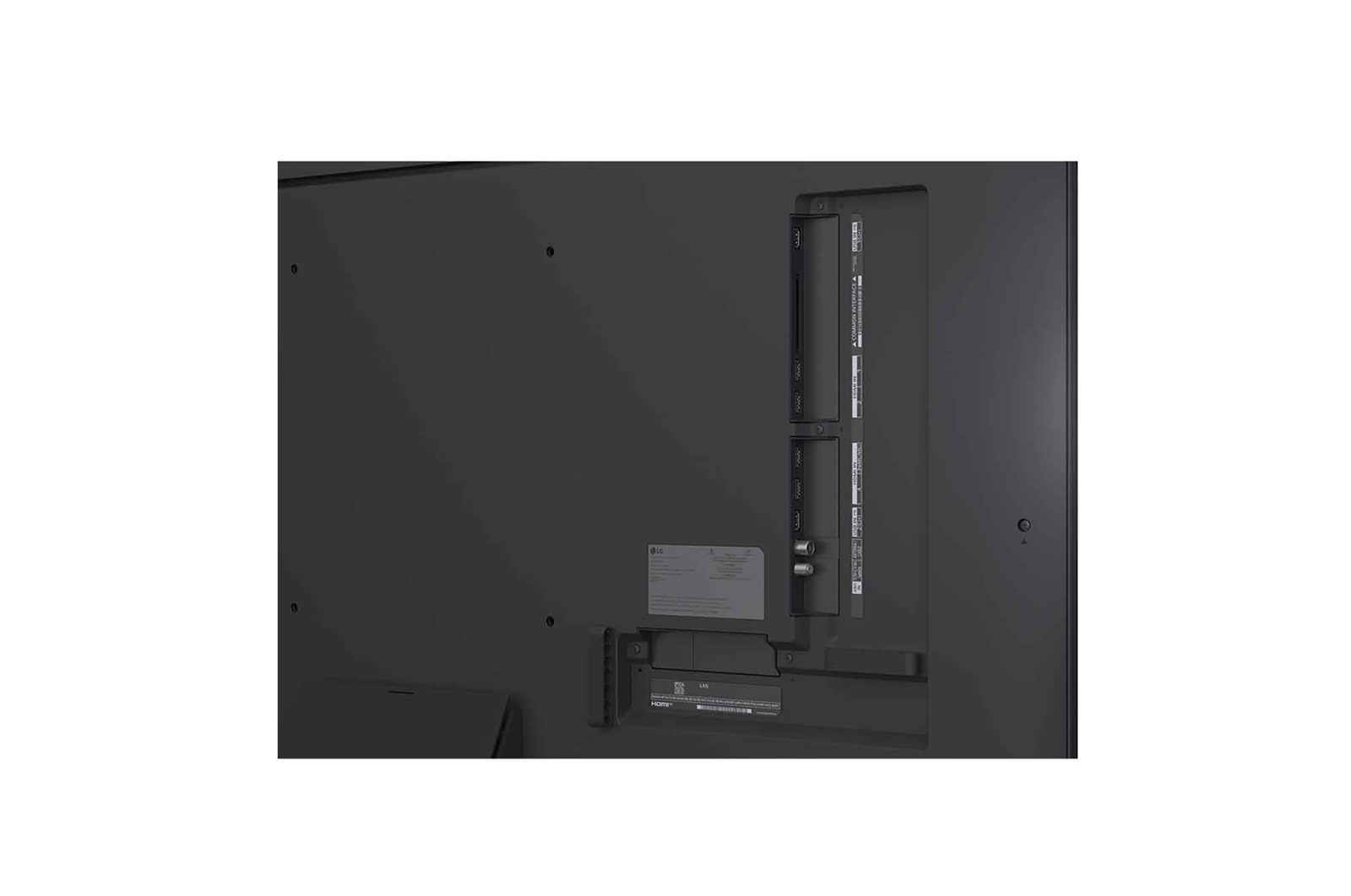 Przed telewizorem LG QNED TV zamontowanym na ścianie, przedstawiającym trzy słonie idące na zewnątrz nad LG Soundbar, siedzą dziewczynka i pies. Napis informuje o tym, że na wielkim ekranie każda akcja jest bardziej ekscytująca.