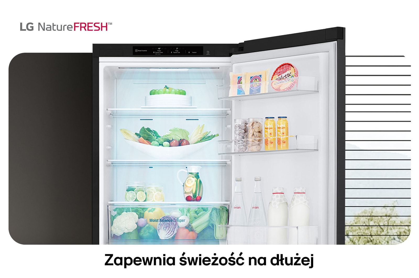 Lodówko-zamrażarka LG GBV3100CEP pokazuje wnętrze NatureFRESH z wypełnioną szufladą Moist Balance Crisper dla długotrwałej świeżości.