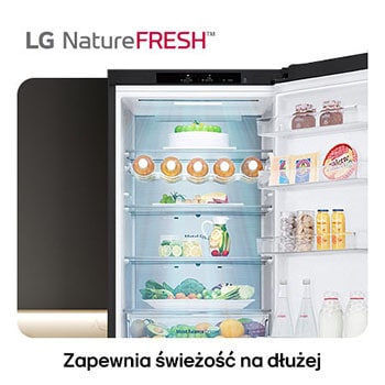 Lodówko-zamrażarka LG GBV5240DEP pokazuje wnętrze NatureFRESH z półką na wino i szufladami na warzywa dla długotrwałej świeżości.