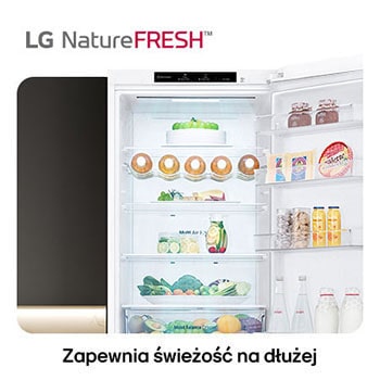 Lodówko-zamrażarka LG GBV3200DSW pokazuje wnętrze NatureFRESH z półką na wino i szufladami na warzywa dla długotrwałej świeżości.