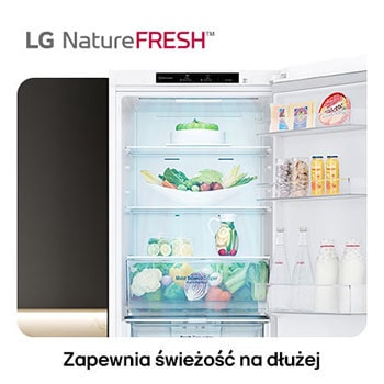 Lodówko-zamrażarka LG GBV3100CSW pokazuje wnętrze NatureFRESH z wypełnioną szufladą Moist Balance Crisper dla długotrwałej świeżości.