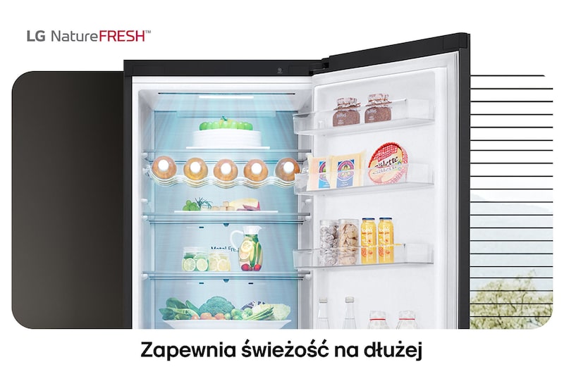 Lodówko-zamrażarka LG GBV5250CEP pokazuje wnętrze NatureFRESH z półką na wino i szufladami na warzywa dla długotrwałej świeżości.