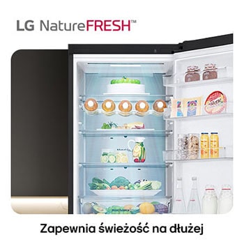 Lodówko-zamrażarka LG GBV5250CEP pokazuje wnętrze NatureFRESH z półką na wino i szufladami na warzywa dla długotrwałej świeżości.