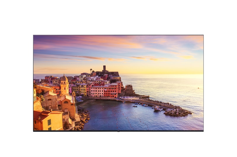 LG Telewizor 4K UHD Hospitality z funkcją Pro:Centric Direct, 55UM662H0LC