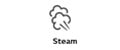 P_Steam