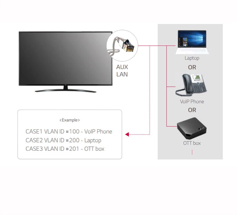 Wyjście LAN z ID VLAN (Virtual LAN)1