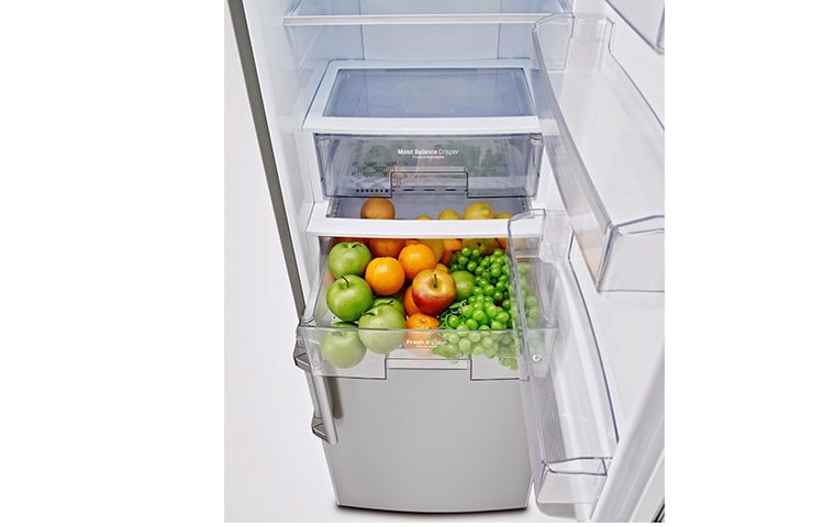 LG GBB530PZQZS |201cm | 343L | Total no Frost | Oświetlenie LED, GBB530PZQZS
