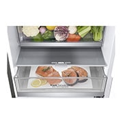 LG Lodówko-zamrażarka LG V+ 1,86m ThinQ GBB71PZDZN, GBB71PZDZN