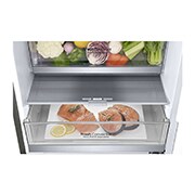 LG Lodówko-zamrażarka LG V+ 1,86m GBB71PZUFN, GBB71PZUFN