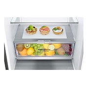 LG Lodówko-zamrażarka LG V+ 1,86m GBB71PZVGN, GBB71PZVGN