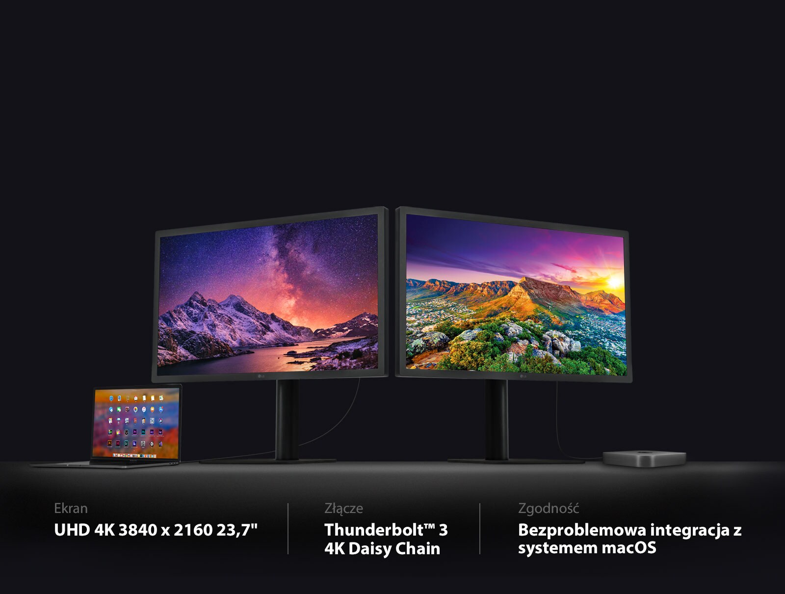 LG 4Kモニター 24MD4KL-B 23.7型 LG 24