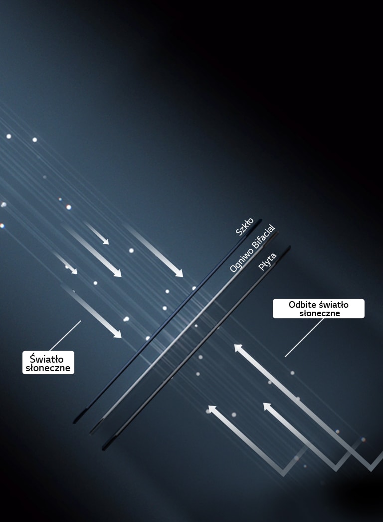 Obraz przedstawiający panel NeON® H BiFacial z wysoce sprawnymi ogniwami BiFacial, które generują energię z obu stron.