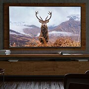 LG Telewizor LG 49” NanoCell 4K 2020 AI TV ze sztuczną inteligencją 49NANO80, 49NANO803NA