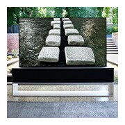LG Telewizor LG 65” OLED 4K Cinema HDR AI TV ze sztuczną inteligencją OLED65RX, OLED65RX9LA