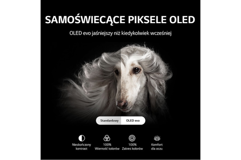LG Telewizor LG 77” OLED evo 4K ze sztuczną inteligencją, Cinema HDR, Smart TV, 120Hz, DVB-T2/HEVC, OLED77C2, OLED77C22LB