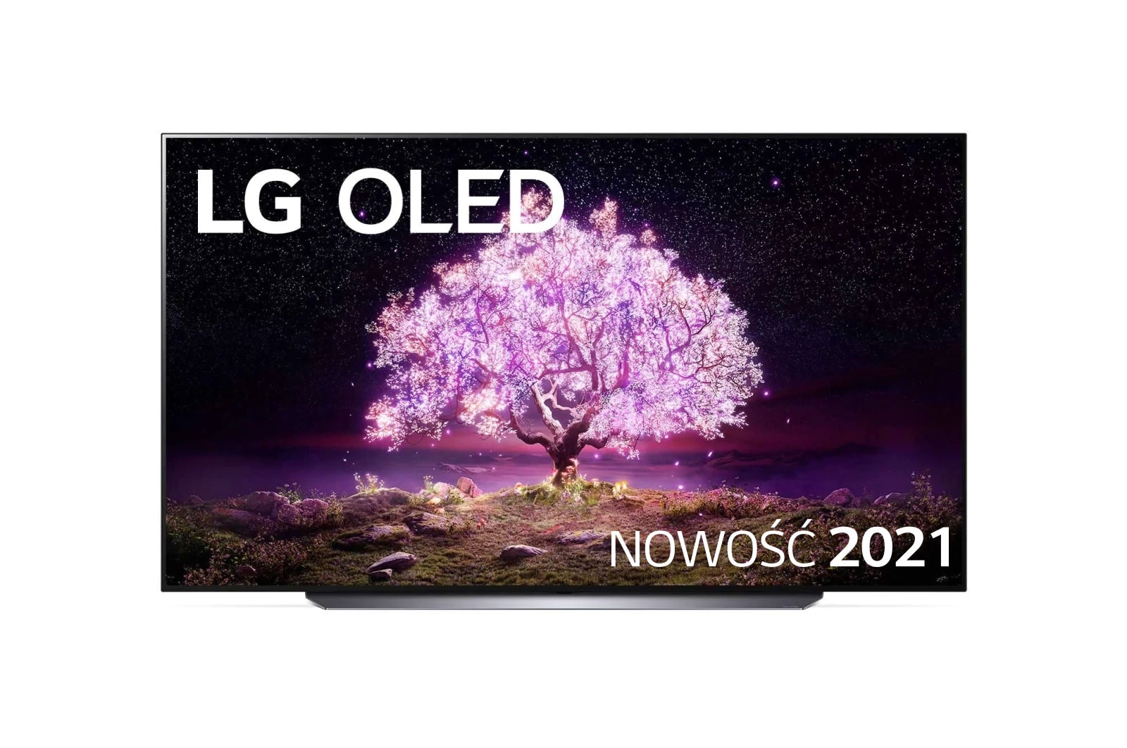 widok z przodu