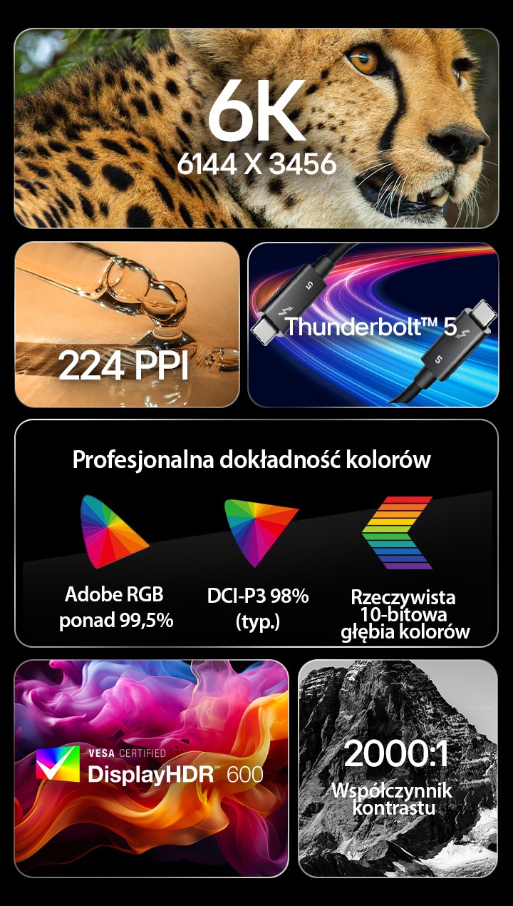 6 różnych obrazów z tekstem opisującym kluczowe cechy UltraFine