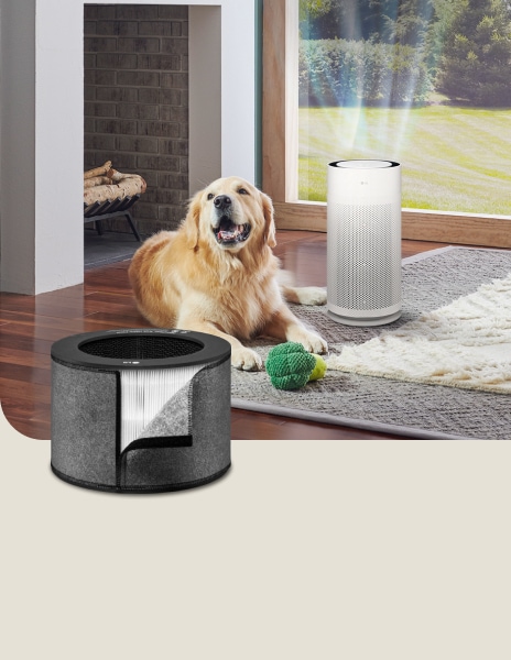 Purificador de aire LG con filtro para mascotas en una luminosa sala de estar, que reduce los olores de las mascotas mientras un perro feliz juega con un juguete.	