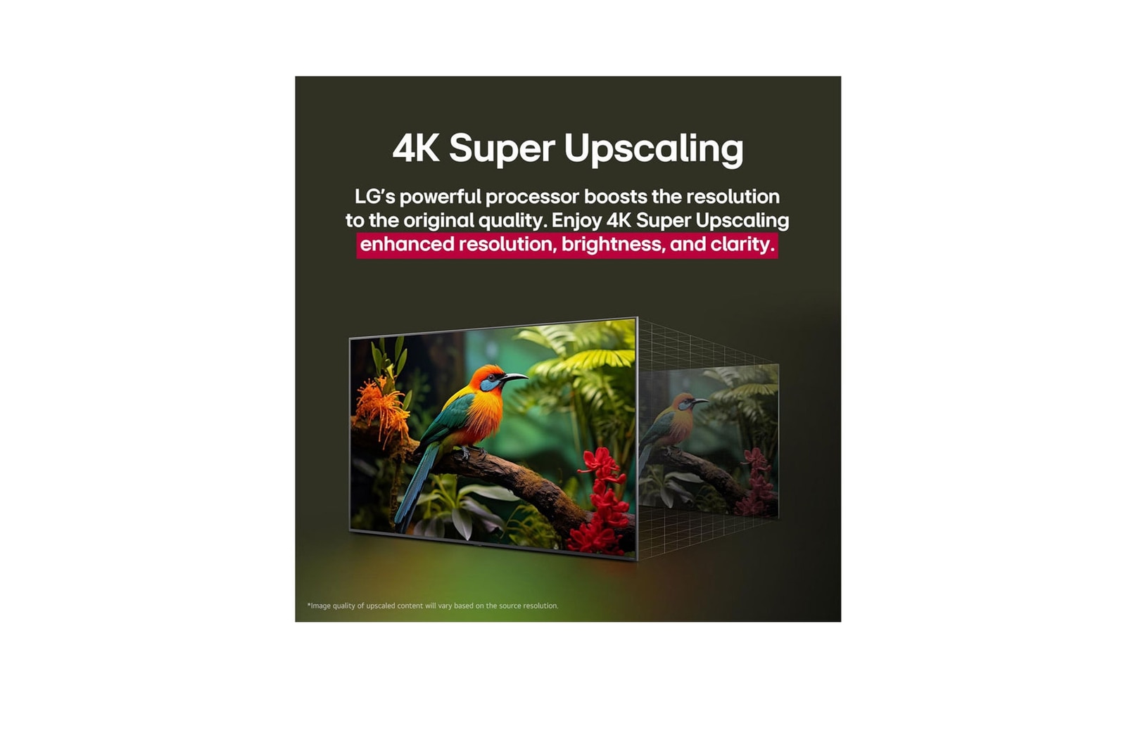 Comparação antes e depois de como o LG 4K Super Upscaling melhora a qualidade da imagem. Dois painéis mostrando a mesma imagem de um pássaro colorido num ramo na floresta, o painel da direita está desvanecido. O título menciona como o 4K Super Upscaling melhora a resolução, a luminosidade e a nitidez. 