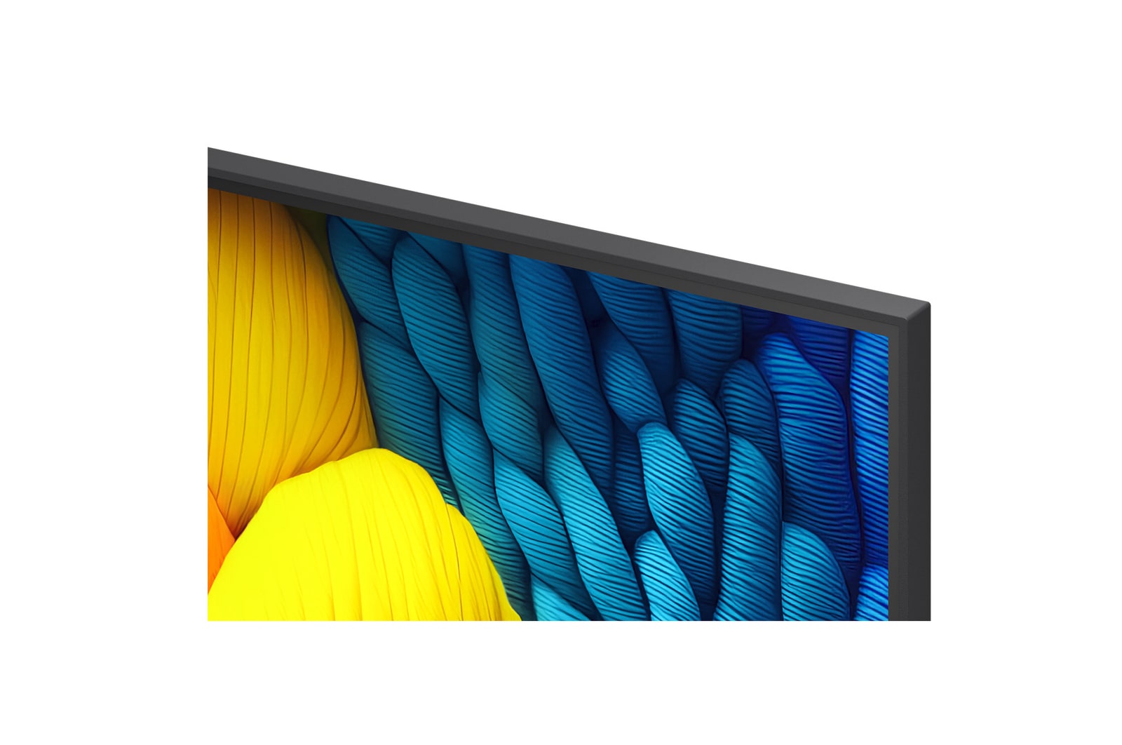 Comparação antes e depois de como o LG 4K Super Upscaling melhora a qualidade da imagem. Dois painéis mostrando a mesma imagem de um pássaro colorido num ramo na floresta, o painel da direita está desvanecido. O título menciona como o 4K Super Upscaling melhora a resolução, a luminosidade e a nitidez. 