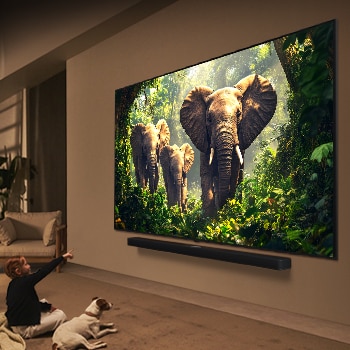 Conteúdo de ficção científica em reprodução no ecrã de uma LG TV. No ecrã vê-se a interface do IA Chatbot. O utilizador enviou uma mensagem ao chatbot dizendo que o ecrã estava demasiado escuro. O chatbot ofereceu soluções para o pedido. Toda a cena está também dividida ao meio. Um lado é mais escuro, o outro é mais claro, mostrando como o IA Chatbot resolveu automaticamente o problema para o utilizador. O texto explica que o AI Chatbot pode compreender a intenção do utilizador e fornecer soluções para resolver problemas.
