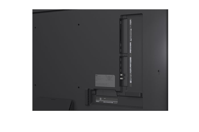 Uma família sentada num sofá virada para uma LG QNED TV montada na parede por cima de uma LG Soundbar com uma menina a apontar para um ecrã onde vemos dois golfinhos. O título fala de como cada ação é mais emocionante num ecrã gigante.