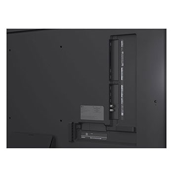 Uma família sentada num sofá virada para uma LG QNED TV montada na parede por cima de uma LG Soundbar com uma menina a apontar para um ecrã onde vemos dois golfinhos. O título fala de como cada ação é mais emocionante num ecrã gigante.