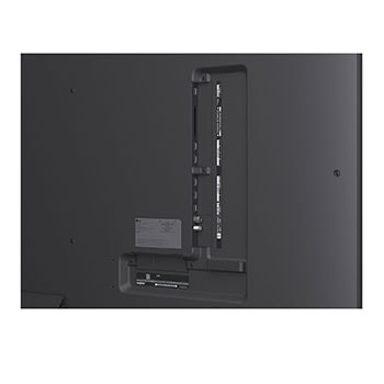 Uma família sentada num sofá virada para uma LG QNED TV montada na parede por cima de uma LG Soundbar com uma menina a apontar para um ecrã onde vemos dois golfinhos. O título fala de como cada ação é mais emocionante num ecrã gigante.