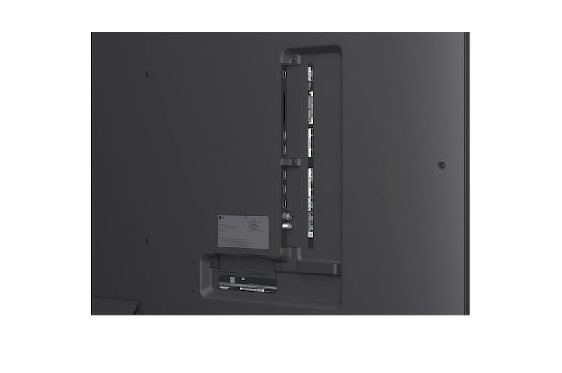 Uma família sentada num sofá virada para uma LG QNED TV montada na parede por cima de uma LG Soundbar com uma menina a apontar para um ecrã onde vemos dois golfinhos. O título fala de como cada ação é mais emocionante num ecrã gigante.