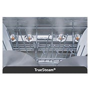 TrueStream