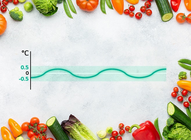 Gráfico linear de refrigeração com vegetais frescos nas proximidades, mostrando as flutuações de temperatura mantidas a ±0,5 ℃, permitindo a frescura dos alimentos.