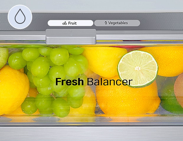 Grande plano do Fresh Balancer cheio de frutas, regulado com a humidade adequada para frutas, entre as opções de frutas e vegetais.