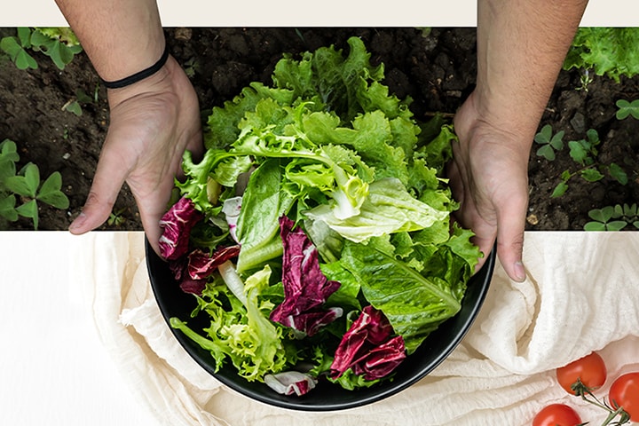 A parte superior da imagem mostra a apanha de alfaces num campo. A parte inferior da imagem mostra uma salada fresca num prato redondo. Os vegetais nestas duas imagens estão naturalmente ligados, como se formassem uma só imagem.