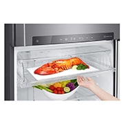 food compartment