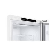 LG Frigorífico Combinado | 341 L | Etiqueta energética D | 1,86 m | DoorCooLing+™ | FRESHConverter™, GBP61SWPGN