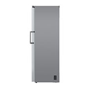 LG Arca vertical | 324 L | Etiqueta energética E | MuLti-Air FLow™ | TotaL No Frost | Express Freeze, GFE41PZGSZ