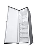 LG Arca vertical | 324 L | Etiqueta energética E | MuLti-Air FLow™ | TotaL No Frost | Express Freeze, GFE41PZGSZ