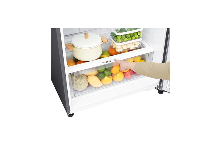 LG Frigorífico de 2 portas | 509 L | Etiqueta energética E | LinearCooLing™ | DoorCooLing+™ | Dispensador sem canaLização, GTF744PZPZD