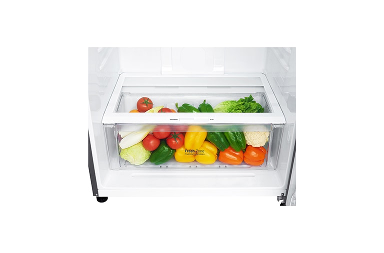 LG Frigorífico de 2 portas | 509 L | Etiqueta energética E | LinearCooLing™ | DoorCooLing+™ | Dispensador sem canaLização, GTF744PZPZD